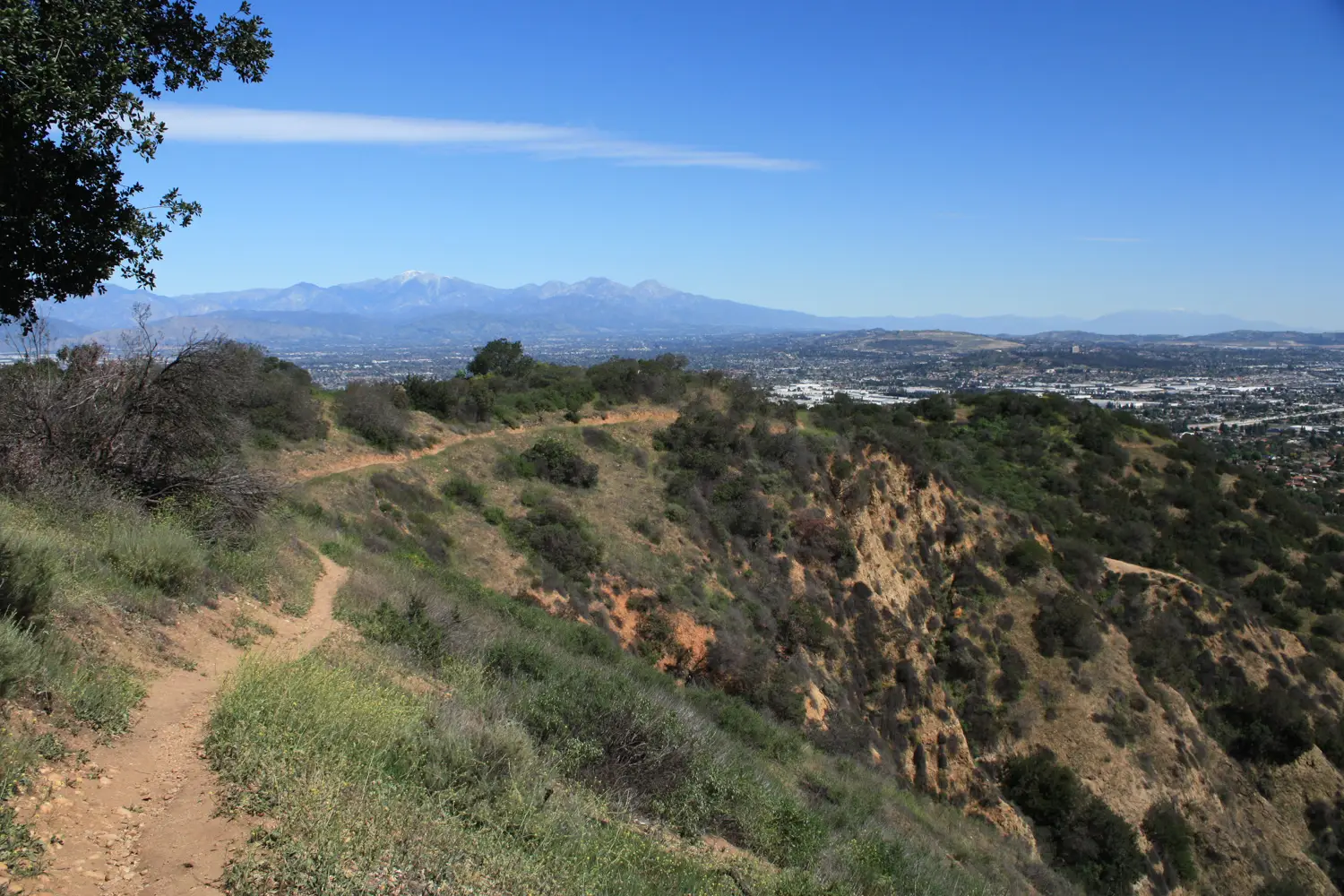 hacienda-heights-hills