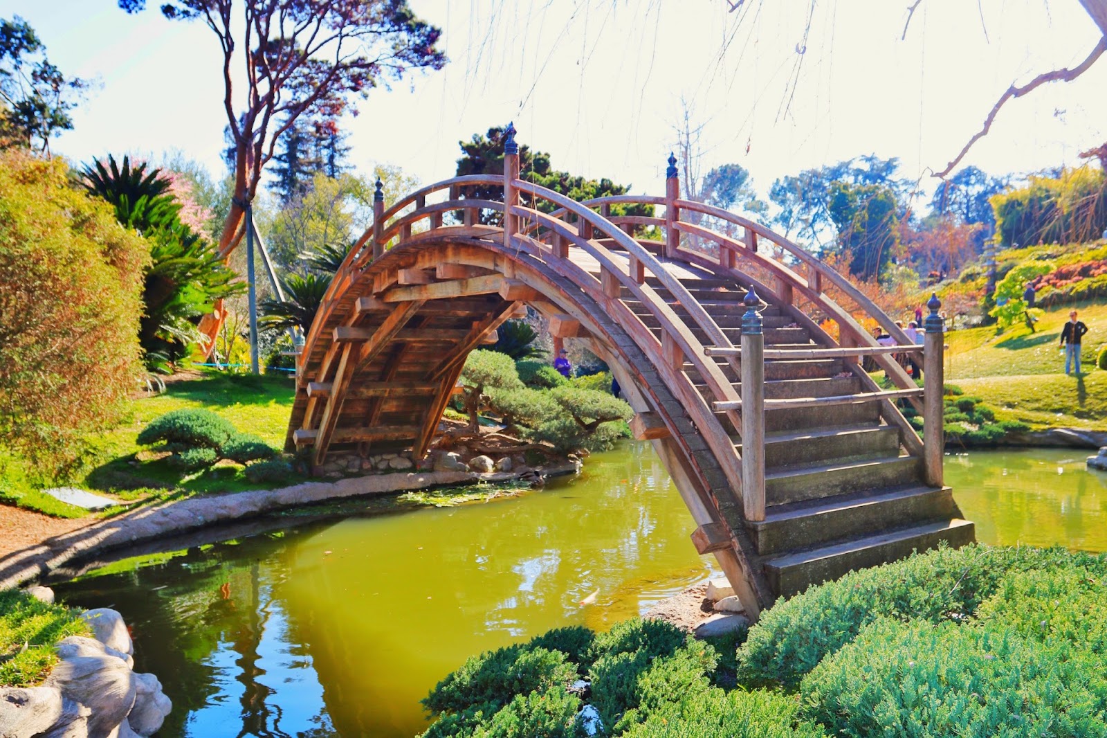 Processed with VSCO with s2 preset